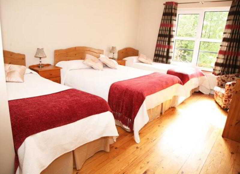 Macliam Lodge Guesthouse クロナキルティ エクステリア 写真