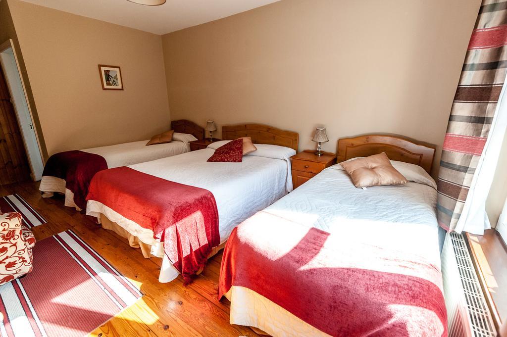 Macliam Lodge Guesthouse クロナキルティ エクステリア 写真